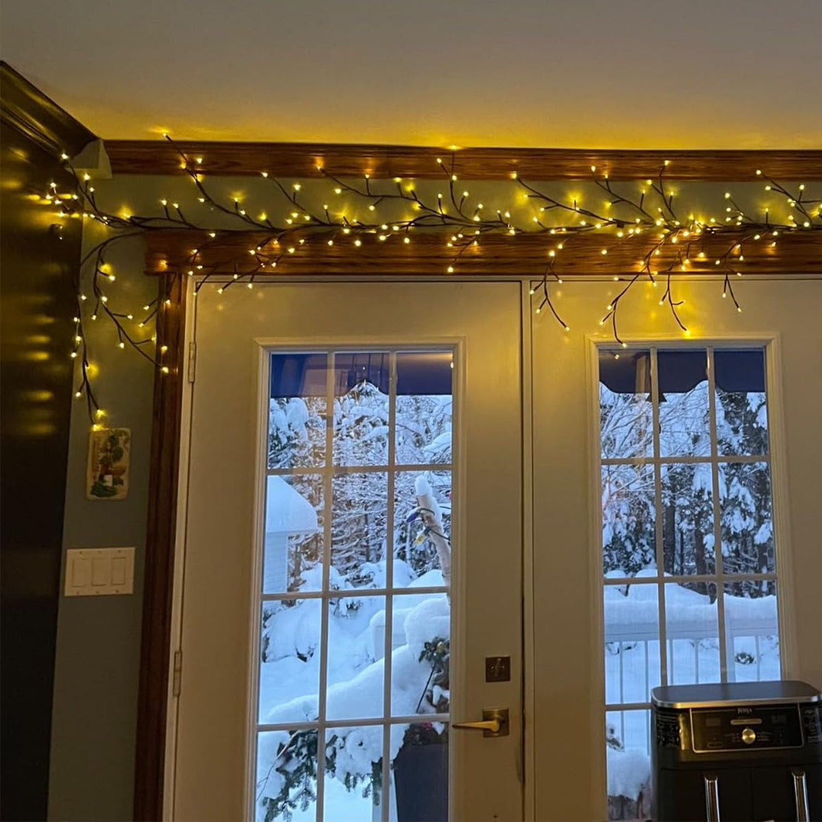 Enchanted Willow Vine Light Set